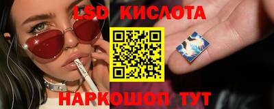 ПСИЛОЦИБИНОВЫЕ ГРИБЫ Канаш