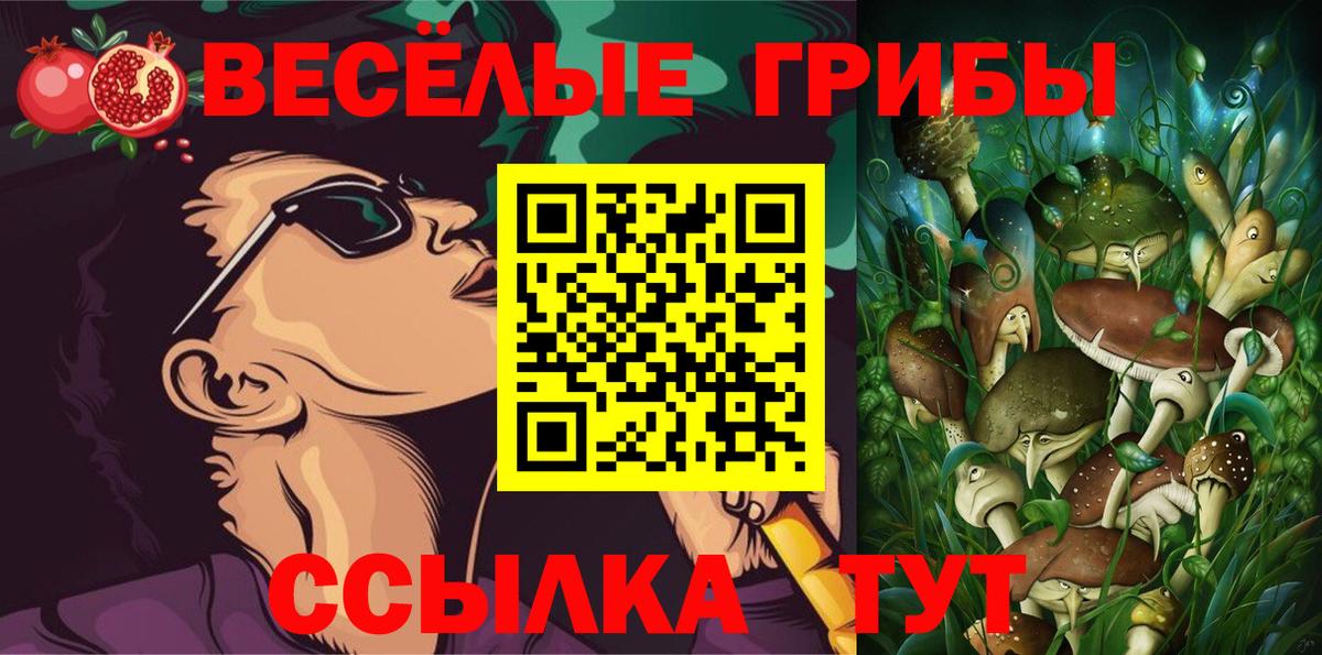 Галлюциногенные грибы ЛСД Кудрово